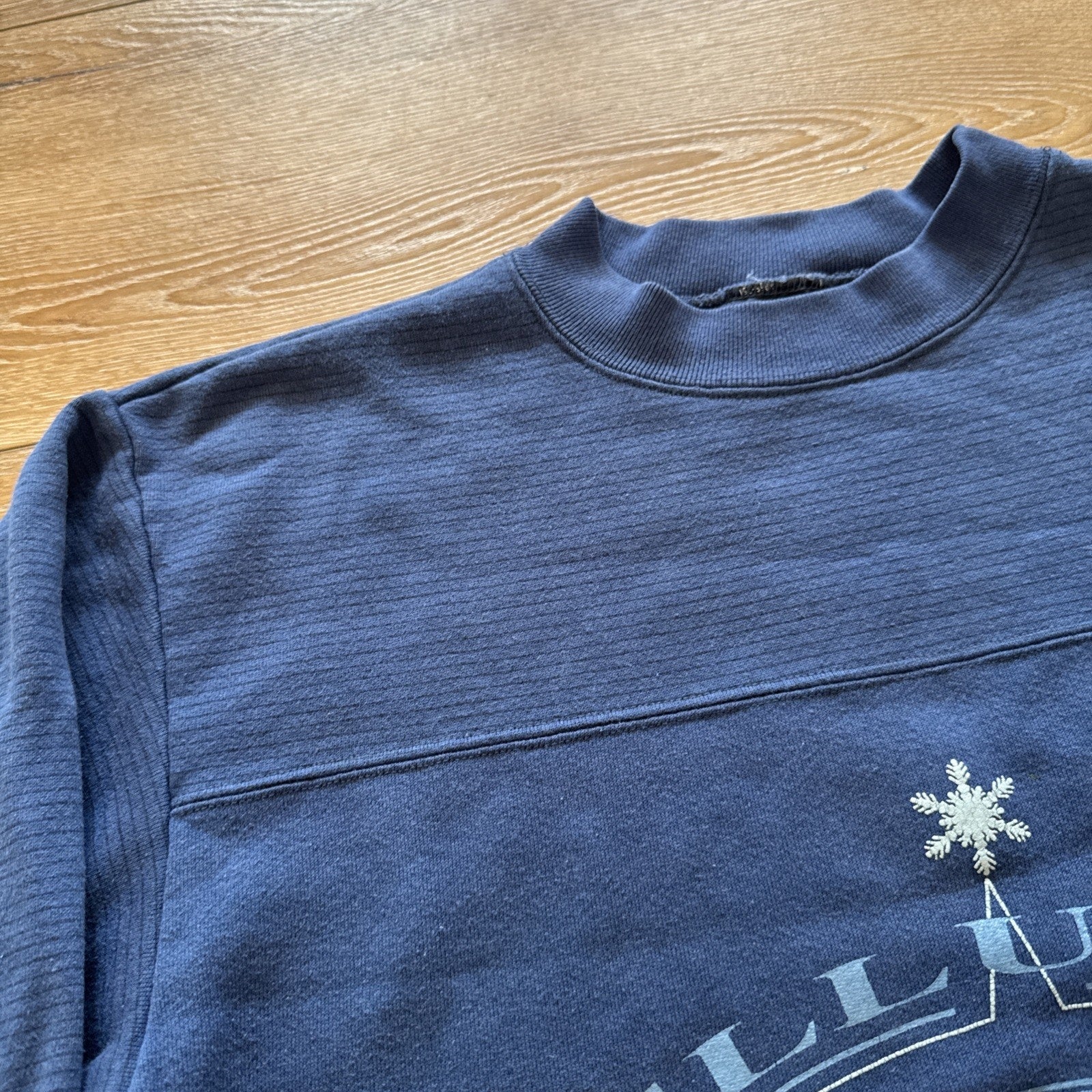 Telluride Colorado Sweatshirt Mens L Downhill Skiing 90s Blue Ski Jansport Vtg