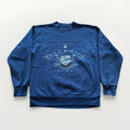 Telluride Colorado Sweatshirt Mens L Downhill Skiing 90s Blue Ski Jansport Vtg